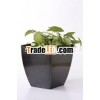 CHEAP PLANTER