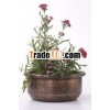 DESIGNER PLANTERS