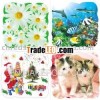 square custom pp plastic placemats