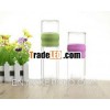 double wall glass cup