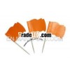 Colored Toothpicks