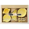 Baby dinnerware made in Japan