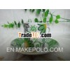 ceramic cup