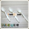 Disposable Biodegradable Spoon