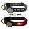 Led dog collar