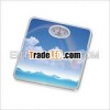 Bathroom Scales Howell