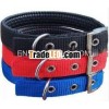 pet collar