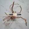 Natural fish tank driftwood for aquarium decoration