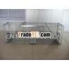 Live animal trap