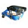 pet collar, collar dog