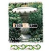 Sandstone Carved Birdbath
