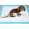 Pet Training Pads / pubby (dogs/ cat) training pads/ disposable pet pad