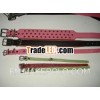 Dog Collars