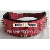 Dog Collars