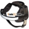 Dog harness