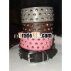 Harness Dog Collars / studded collars