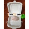 disposable biodegradable tableware