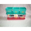 Painting by hand tray with 3 pots-set