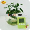 Kitchen favor Green round button LED Digital timer