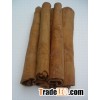 Cassia