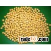Soy bean Extract 40% Isoflavines