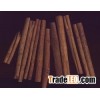 Cinnamon Bark P. E.