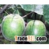 Luo Han Guo P.E. 80% Mogrosides