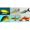 Tropical fish farm 10