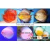Discus fish farm 3