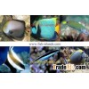 Marine Fish Farm 4