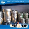 Titanium Spiral Wound Gasket