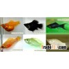 Tropical fish farm 3