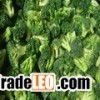 Frozen Broccoli