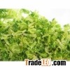 dehydrated cabbage 001