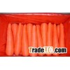 fresh carrot,fresh vegetables