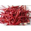 chilli without stem