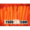 carrot