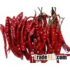 Dry Red Chilli
