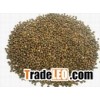 Black pepper