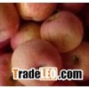 fuji apple