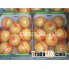 Honey Pomelo