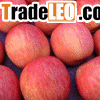 fuji apple