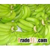 Fresh Green Cavendish Bananas