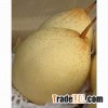 Ya pear