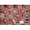 Fuji Apple