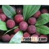 waxberry