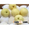 Golden Pear
