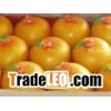 pomelo