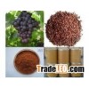 grape seed extract