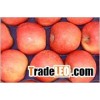 Fuji  Apple